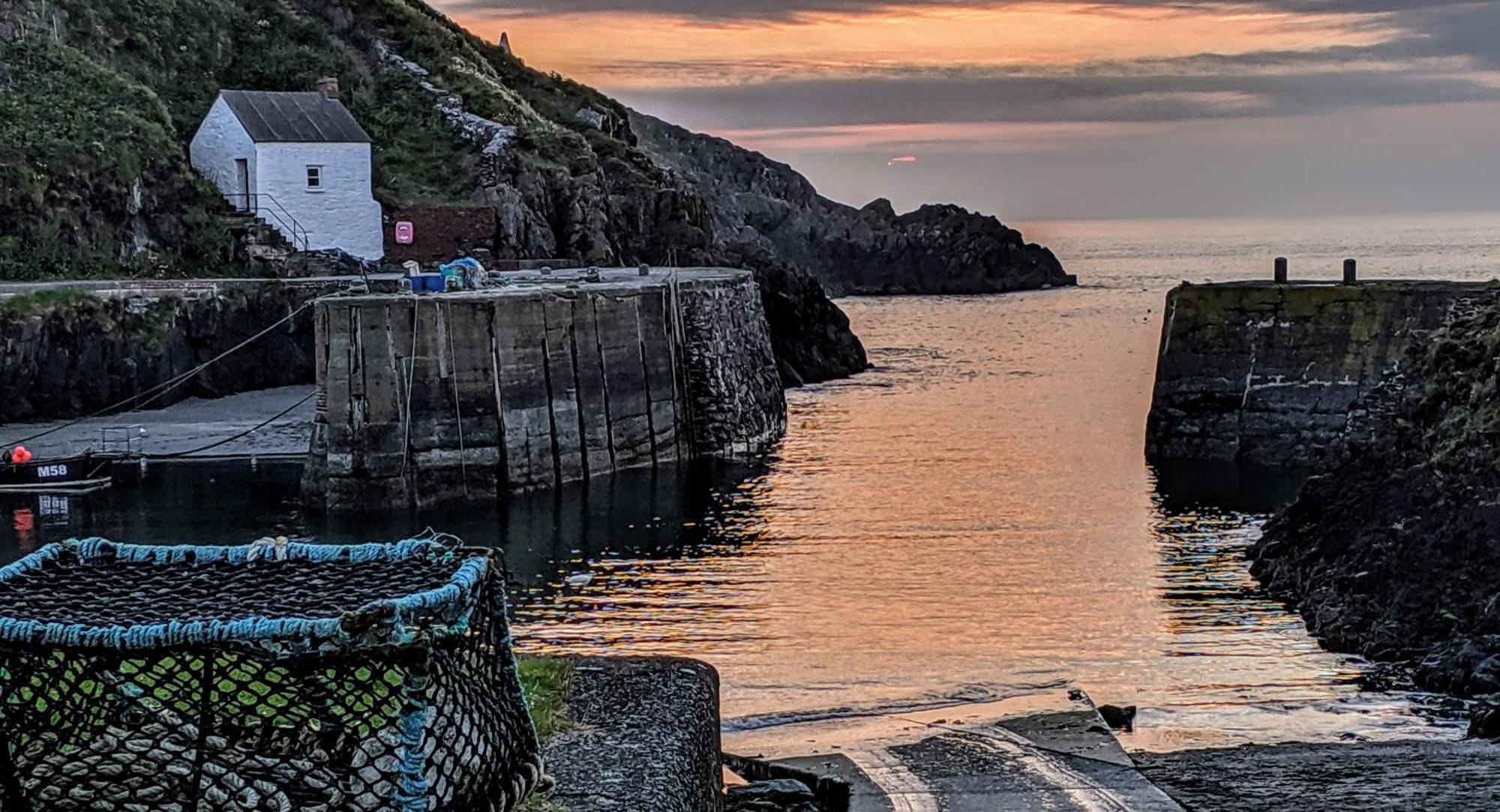Ivybridge Guesthouse Fishguard Kültér fotó