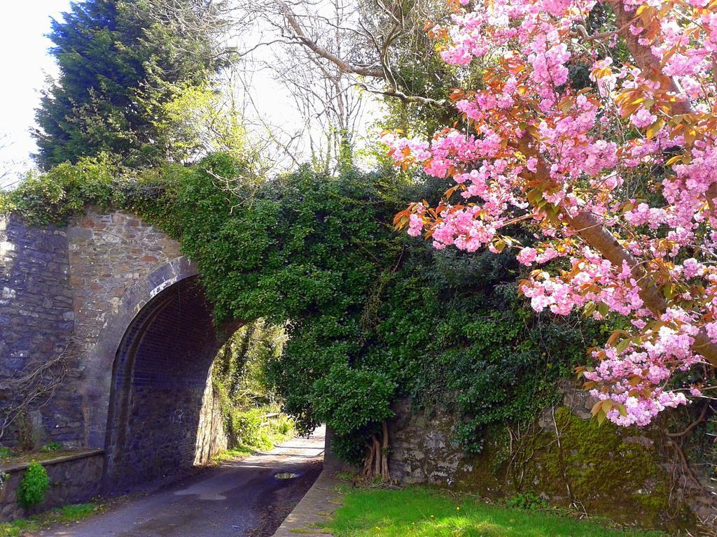 Ivybridge Guesthouse Fishguard Kültér fotó